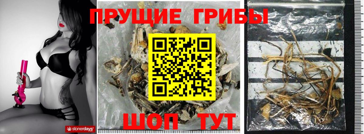 Псилоцибиновые грибы MAGIC MUSHROOMS Стрежевой